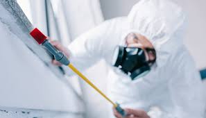 Best Residential Pest Control  in Windcrest, TX